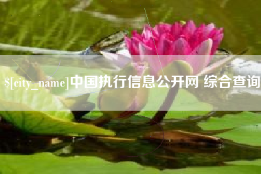 汕尾中国执行信息公开网 综合查询