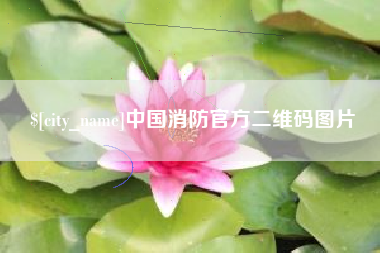 汕尾中国消防官方二维码图片