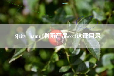 汕尾消防产品cccf认证目录