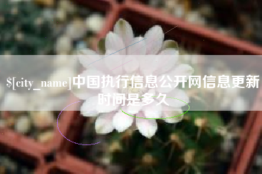 汕尾中国执行信息公开网信息更新时间是多久