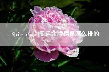 汕尾奥运金牌榜是怎么排的