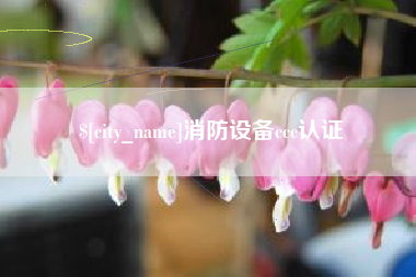 汕尾消防设备ccc认证