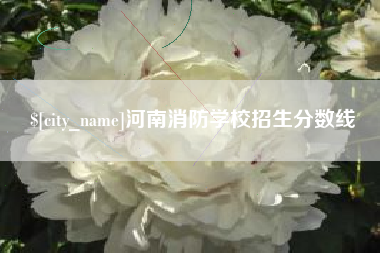 汕尾河南消防学校招生分数线