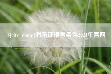 汕尾消防证报考条件2024年官网