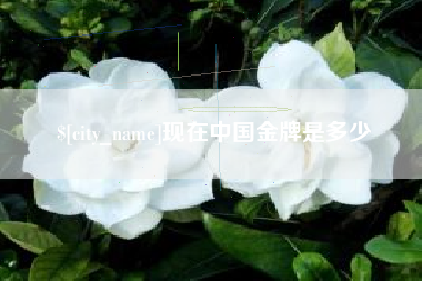 汕尾现在中国金牌是多少