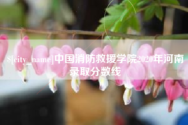 汕尾中国消防救援学院2020年河南录取分数线