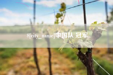 汕尾中国队 冠军