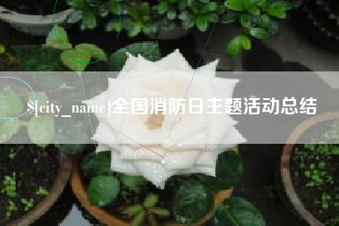 汕尾全国消防日主题活动总结