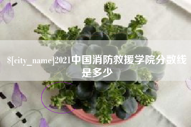 汕尾2021中国消防救援学院分数线是多少
