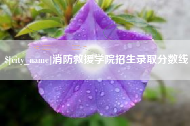 汕尾消防救援学院招生录取分数线