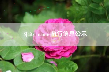 汕尾执行信息公示