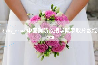 汕尾中国消防救援学院录取分数线2020