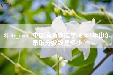 汕尾中国消防救援学院2021年山东录取分数线是多少
