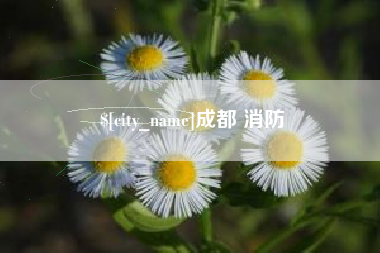 汕尾成都 消防
