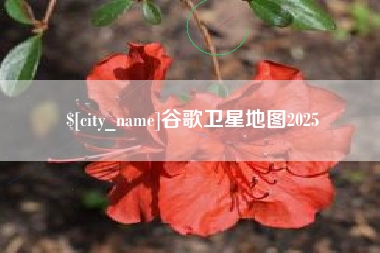 汕尾谷歌卫星地图2025