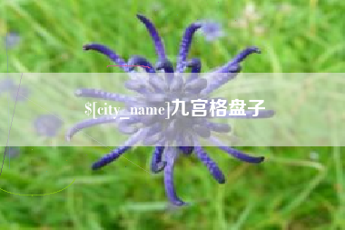 汕尾九宫格盘子