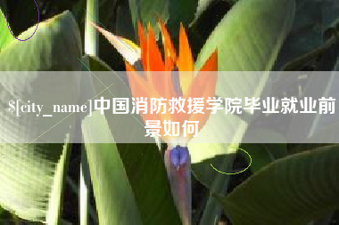 汕尾中国消防救援学院毕业就业前景如何