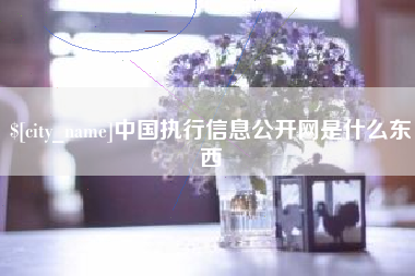汕尾中国执行信息公开网是什么东西