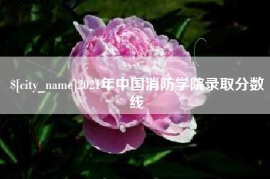 汕尾2021年中国消防学院录取分数线