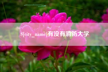 汕尾有没有消防大学