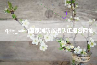 汕尾国家消防救援队伍报名网址