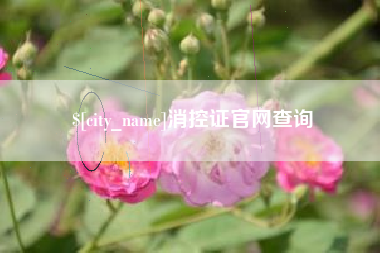 汕尾消控证官网查询
