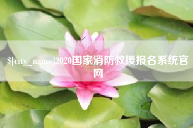 汕尾2020国家消防救援报名系统官网