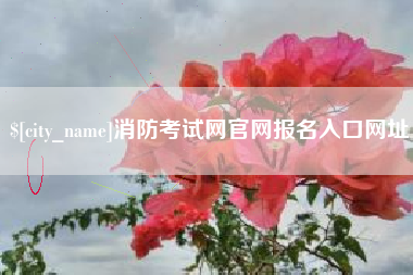 汕尾消防考试网官网报名入口网址