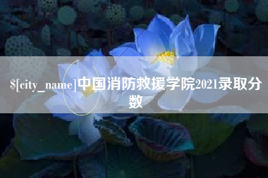 汕尾中国消防救援学院2021录取分数