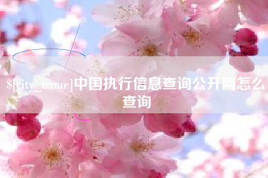 汕尾中国执行信息查询公开网怎么查询