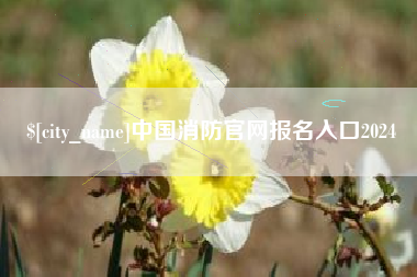汕尾中国消防官网报名入口2024