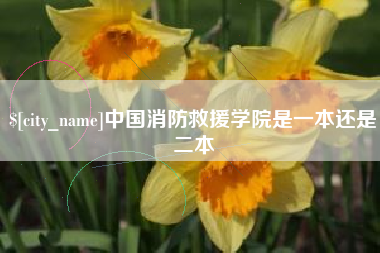 汕尾中国消防救援学院是一本还是二本