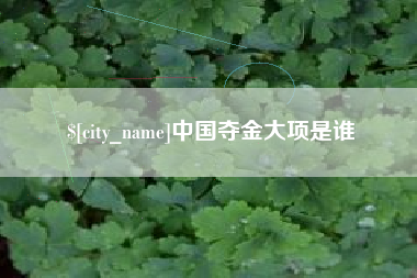 汕尾中国夺金大项是谁