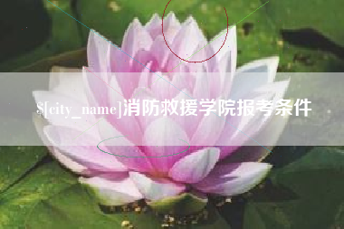 汕尾消防救援学院报考条件