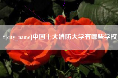 汕尾中国十大消防大学有哪些学校