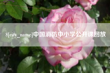 汕尾中国消防中小学公开课回放