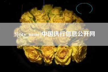 汕尾中国执行信息公开网
