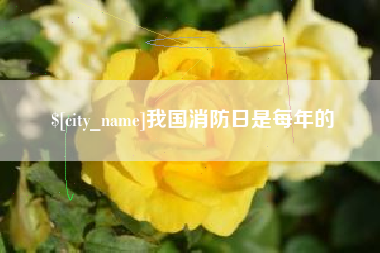 汕尾我国消防日是每年的