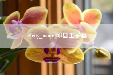 汕尾邱县王子磊