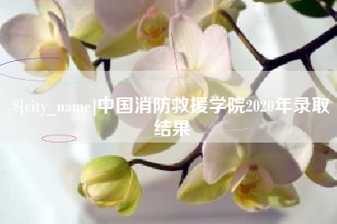 汕尾中国消防救援学院2020年录取结果