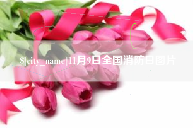 汕尾11月9日全国消防日图片