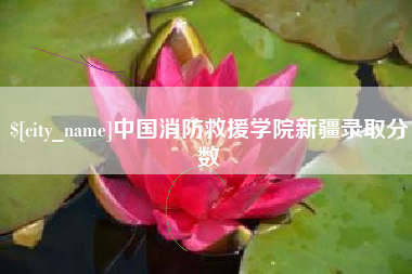 汕尾中国消防救援学院新疆录取分数