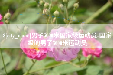 汕尾男子5000米国家级运动员-国家级的男子5000米运动员
