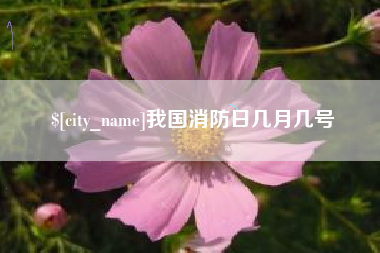 汕尾我国消防日几月几号