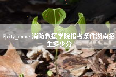 汕尾消防救援学院报考条件湖南招生多少分