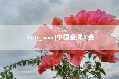 汕尾中国金牌18金