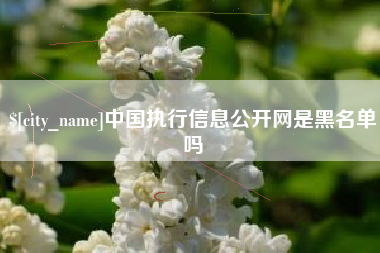 汕尾中国执行信息公开网是黑名单吗