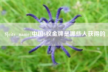 汕尾中国6枚金牌是哪些人获得的