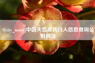 汕尾中国失信被执行人信息查询公开网址