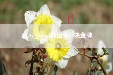汕尾奥运会39块金牌